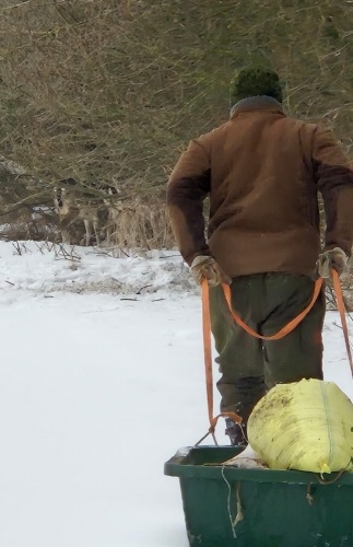 Dokarmianie luty_2026 obwod 38.jpg